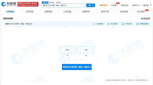 马苏再拓商业版图 投资两家海南新公司，深耕文化经纪人服务